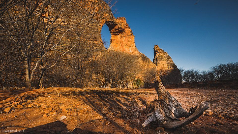 A tree stump is sitting in front of a rock formation.
