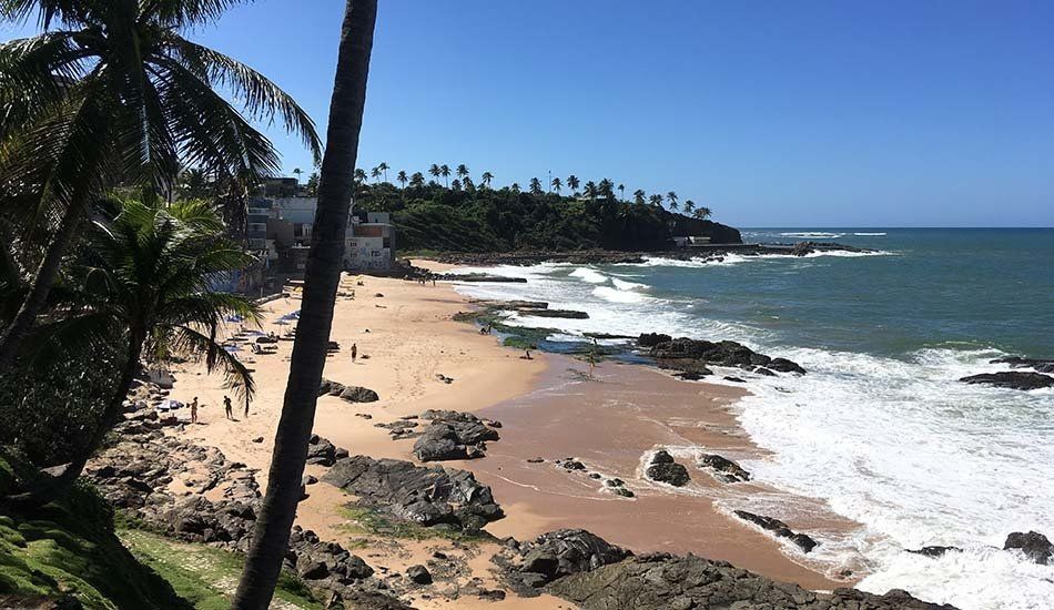 A beach with a palm tree in the foreground