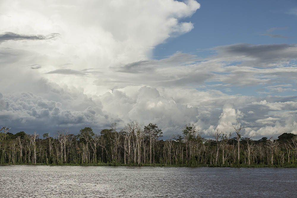 A lake with trees on the shore and clouds in the sky