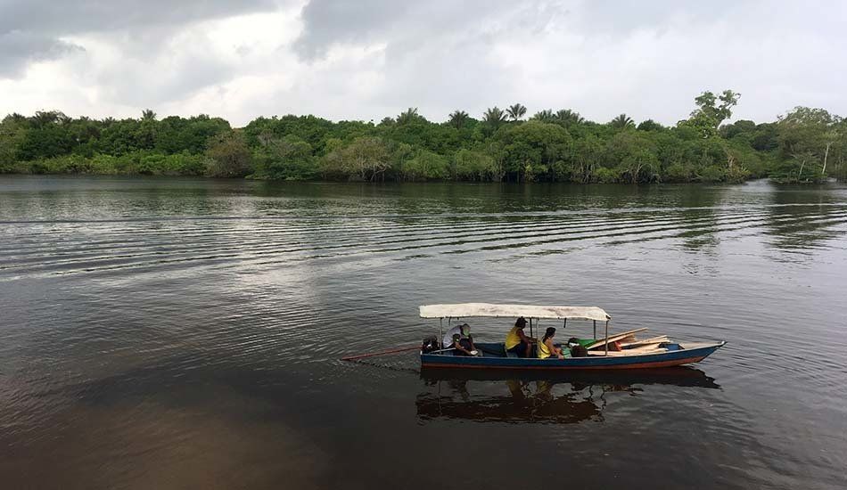 A boat with people on it is floating on a river.
