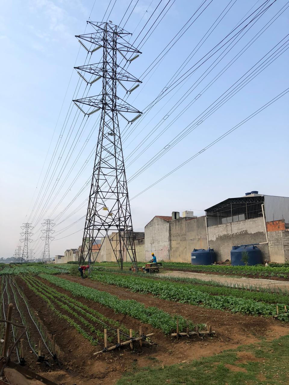 A large power tower is in the middle of a field
