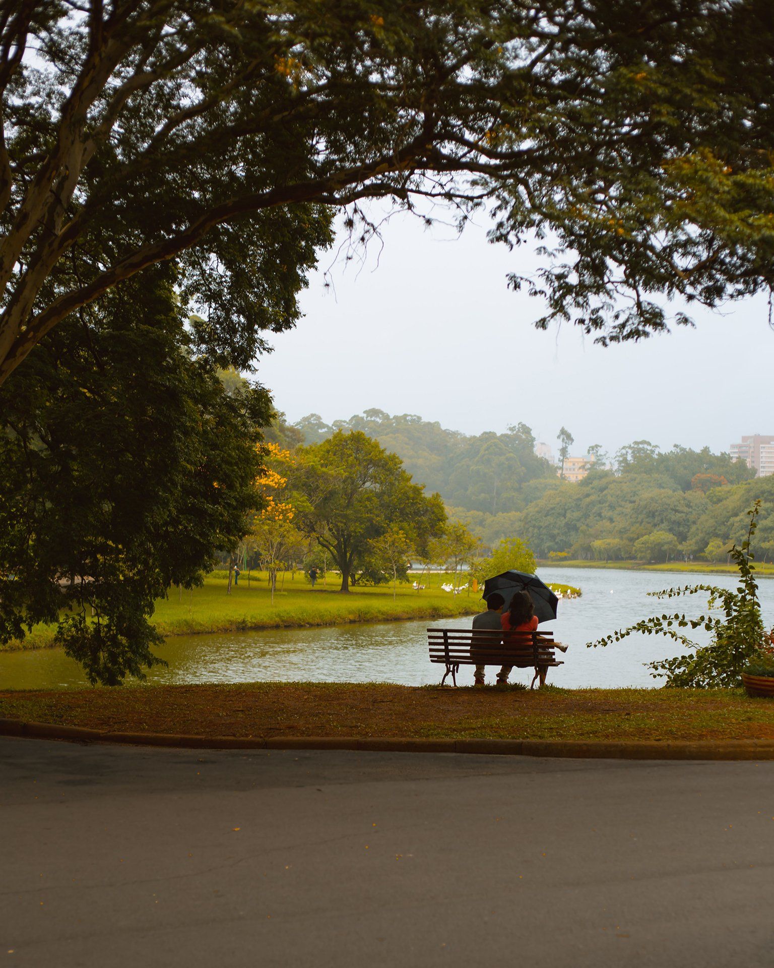 A person sitting on a bench with an umbrella in front of a lake