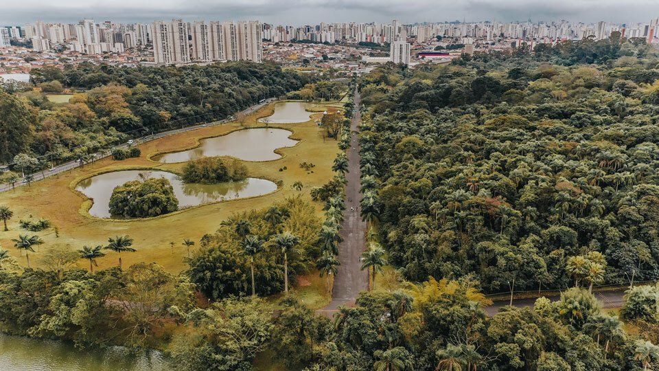 An aerial view of a lush green forest with a city in the background.