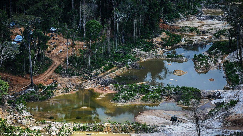 An aerial view of a river in the middle of a forest.