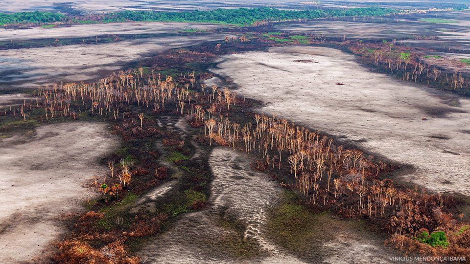 An aerial view of a dry river surrounded by trees.