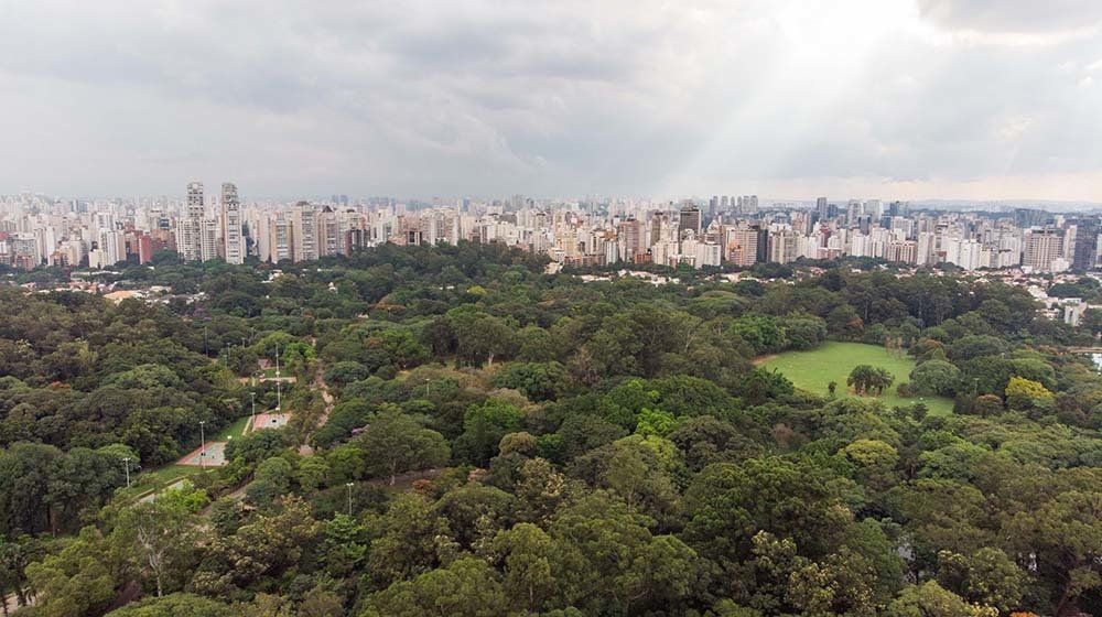 An aerial view of a forest with a city in the background.