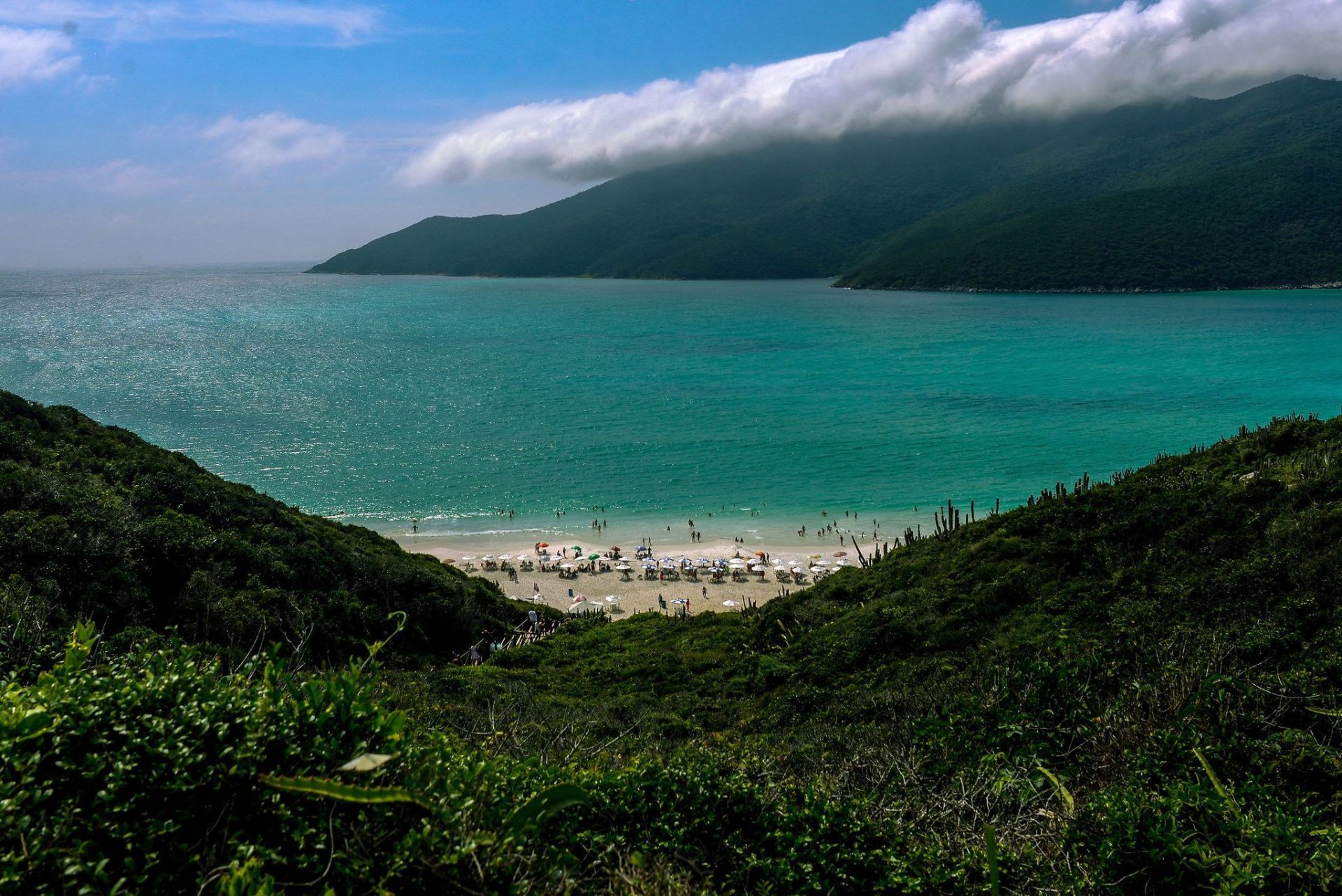 A view of a beach from a hill overlooking the ocean