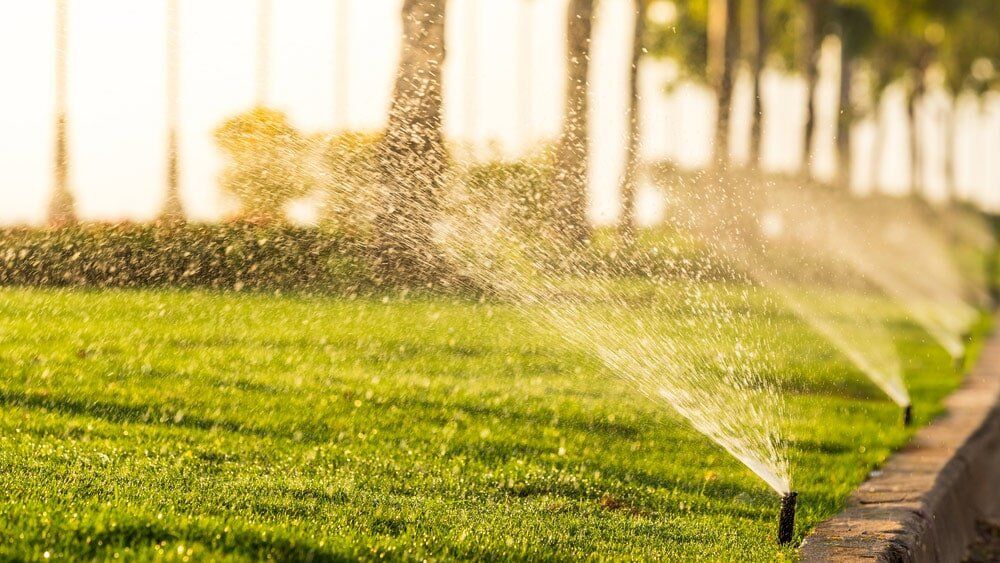 A row of sprinklers spraying water on a lush green lawn.