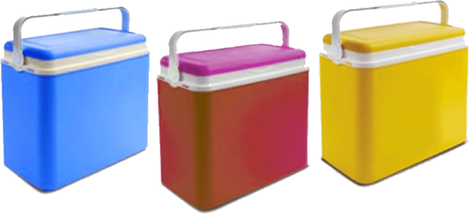 borsa frigo