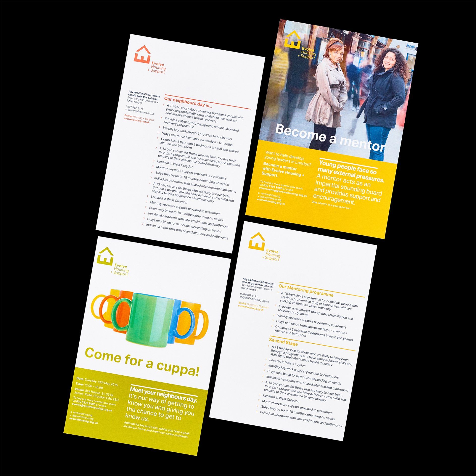 Evolve flyers