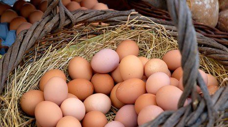Eggs