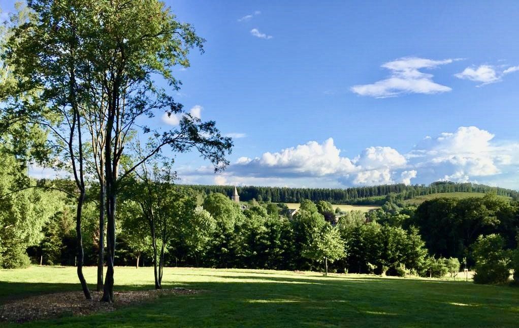 Een weelderig groen veld met bomen op de voorgrond en een blauwe lucht met wolken op de achtergrond.