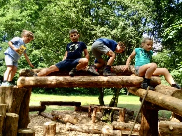 A group of children are playing on logs in a park.