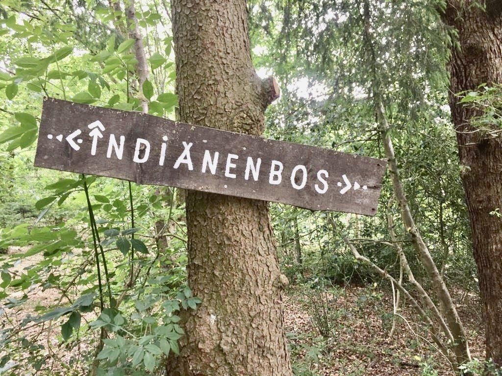 Een houten bord hangt aan een boom in het bos.
