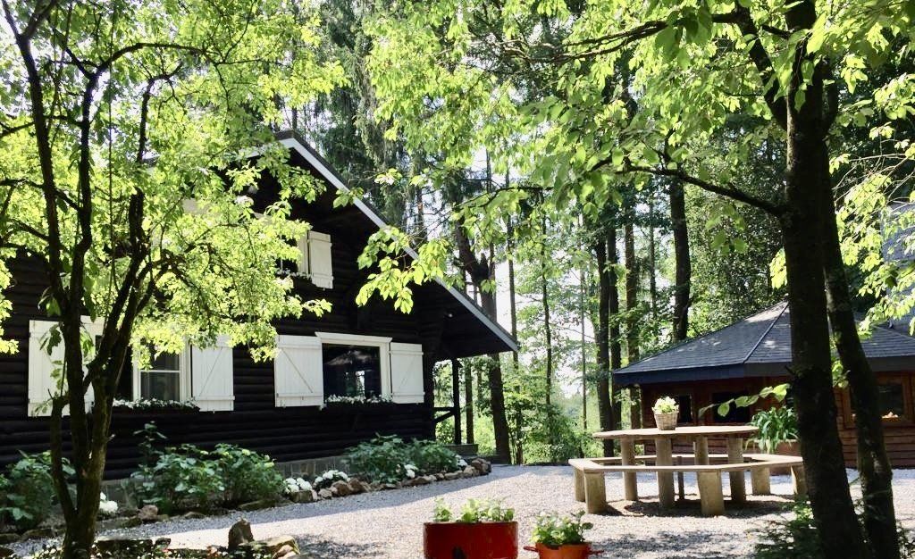 Een huis midden in het bos met een picknicktafel ervoor