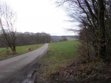 Een onverharde weg door een veld met bomen aan beide kanten.