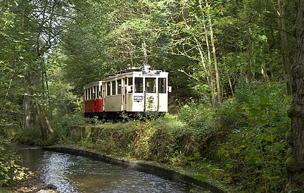 Er rijdt een trein over een rivier in het bos.