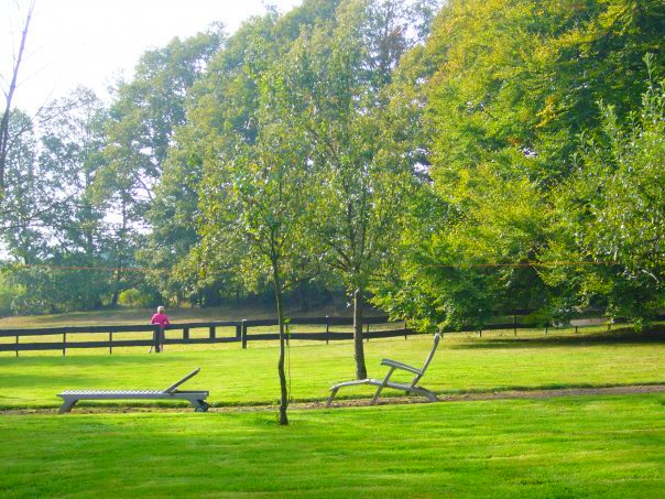 Een weelderig groen veld met een houten hek en bomen op de achtergrond.