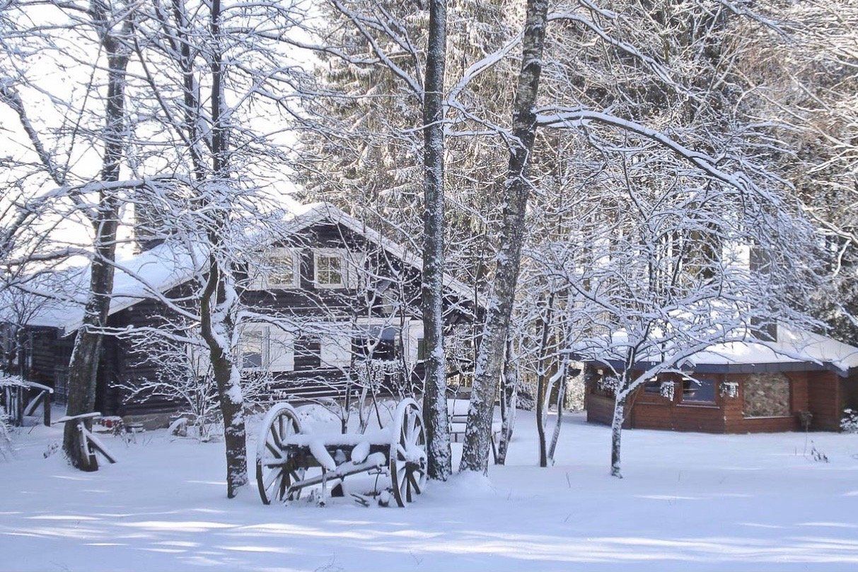 Een besneeuwd bos met een huis op de achtergrond en bomen bedekt met sneeuw.