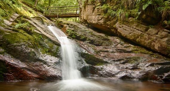 Een waterval midden in een bos met een brug op de achtergrond.