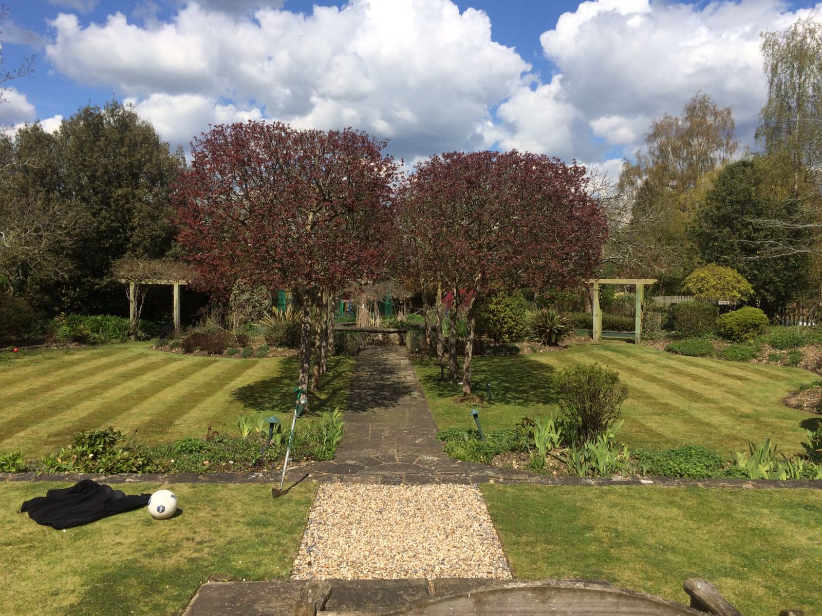 grass cutting