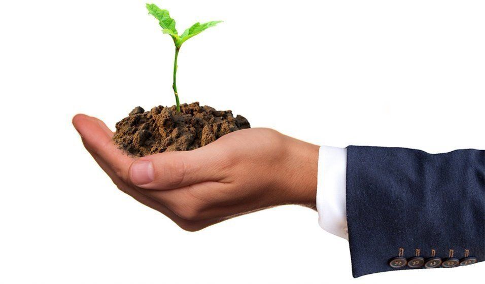 Cuidemos el medioambiente
