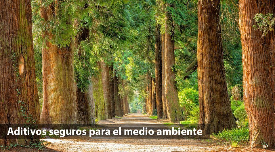 Control de polvo en vías sin pavimentar