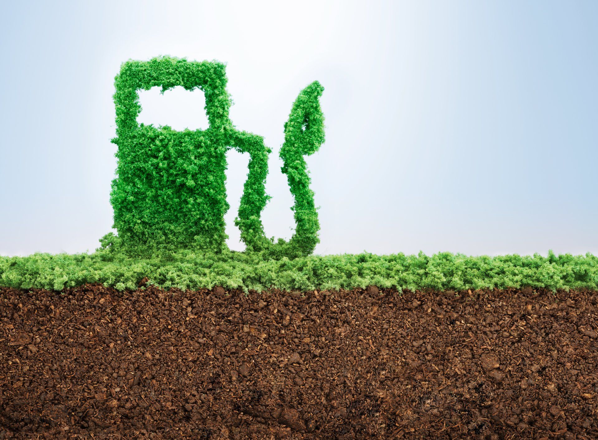 Bioenergy-biofuel