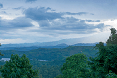 image-291913-nature.png