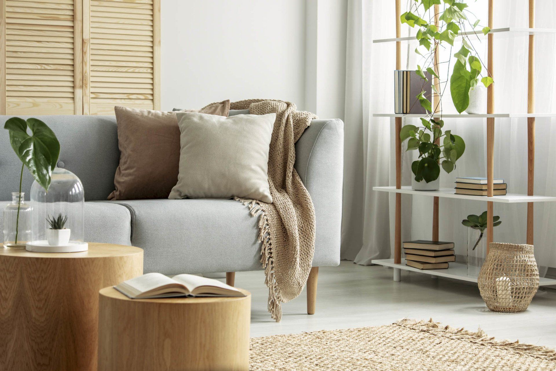 couch in apartment living room