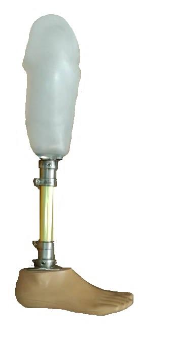 Lower Limb Prosthetic