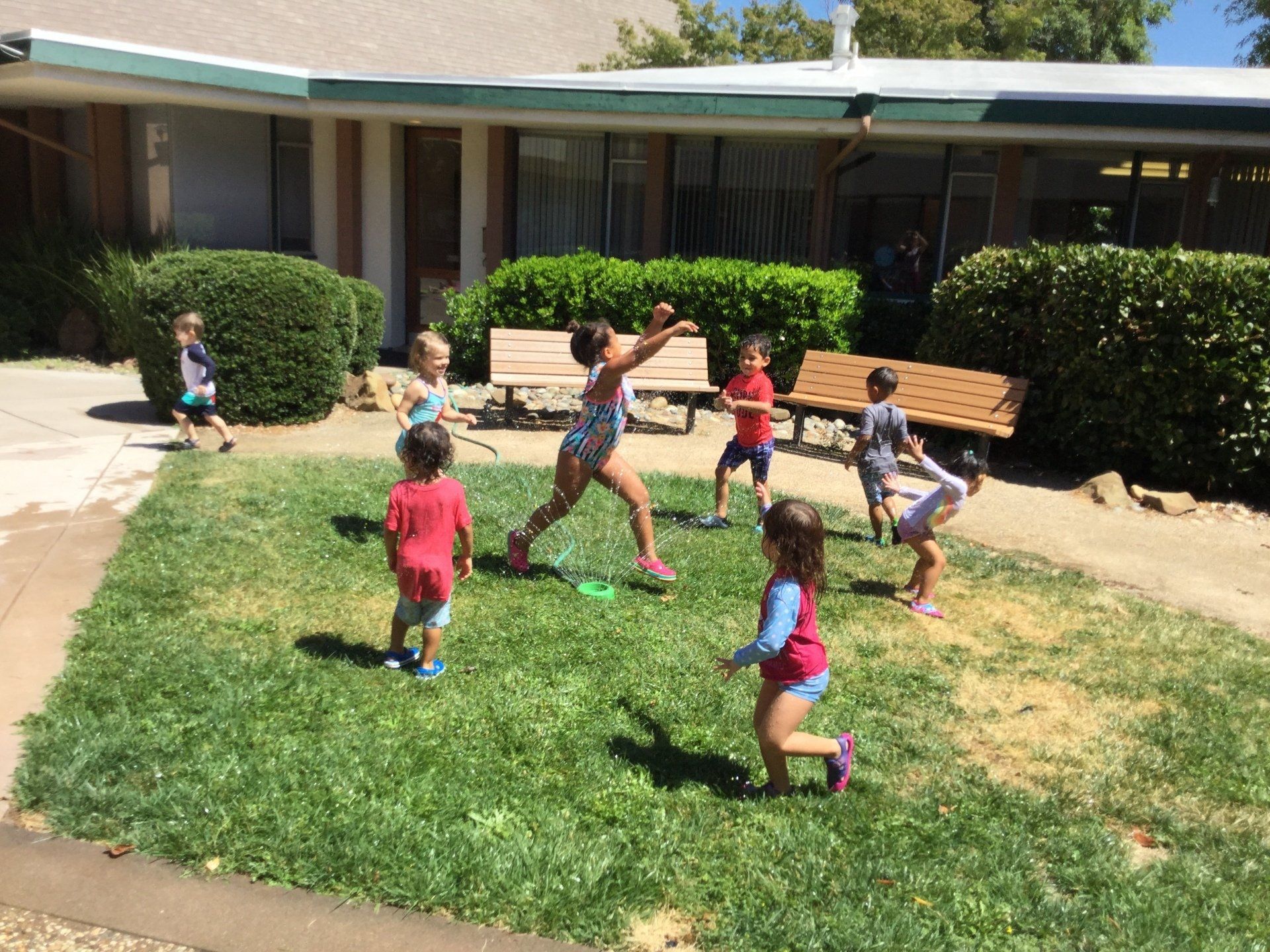 Children playing in a grassy courtyard near a building, sunny day.