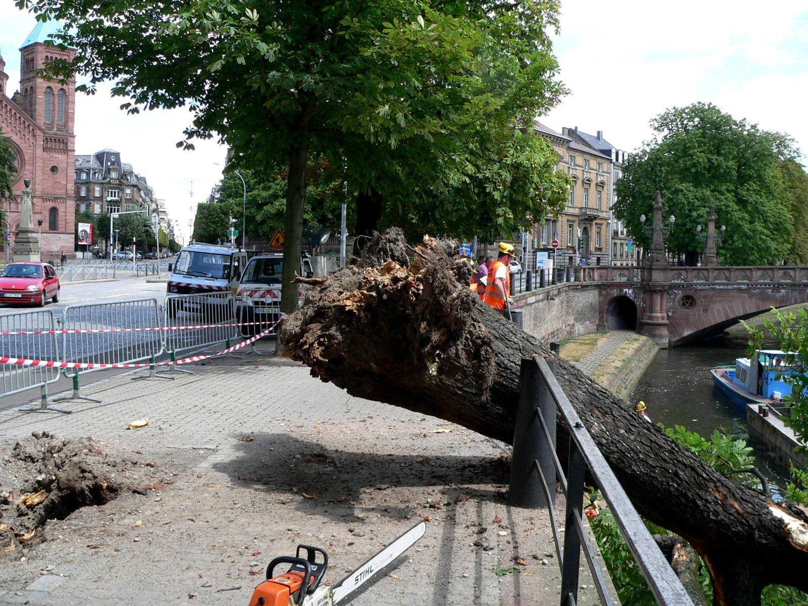 Umgestürzter Baum auf einem Gehweg vor einem Gebäude, im Hintergrund eine Kettensäge und Arbeiter.
