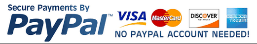 A paypal logo that says secure payments by visa mastercard and american express