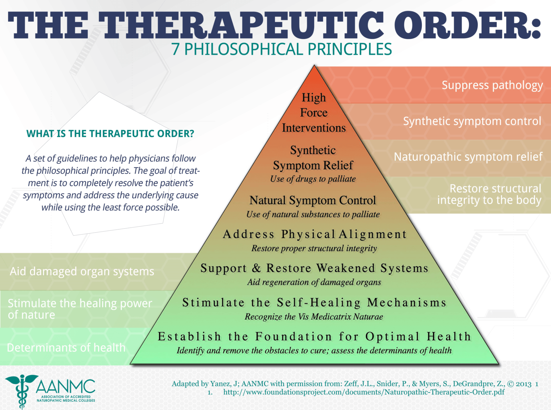 Naturopathic Doctor Licensure info Naturopathic Medicine Therapeutic Order