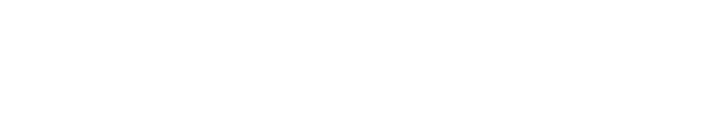bsp logo
