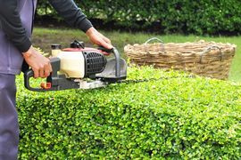 Property Maintenance Olean, NY