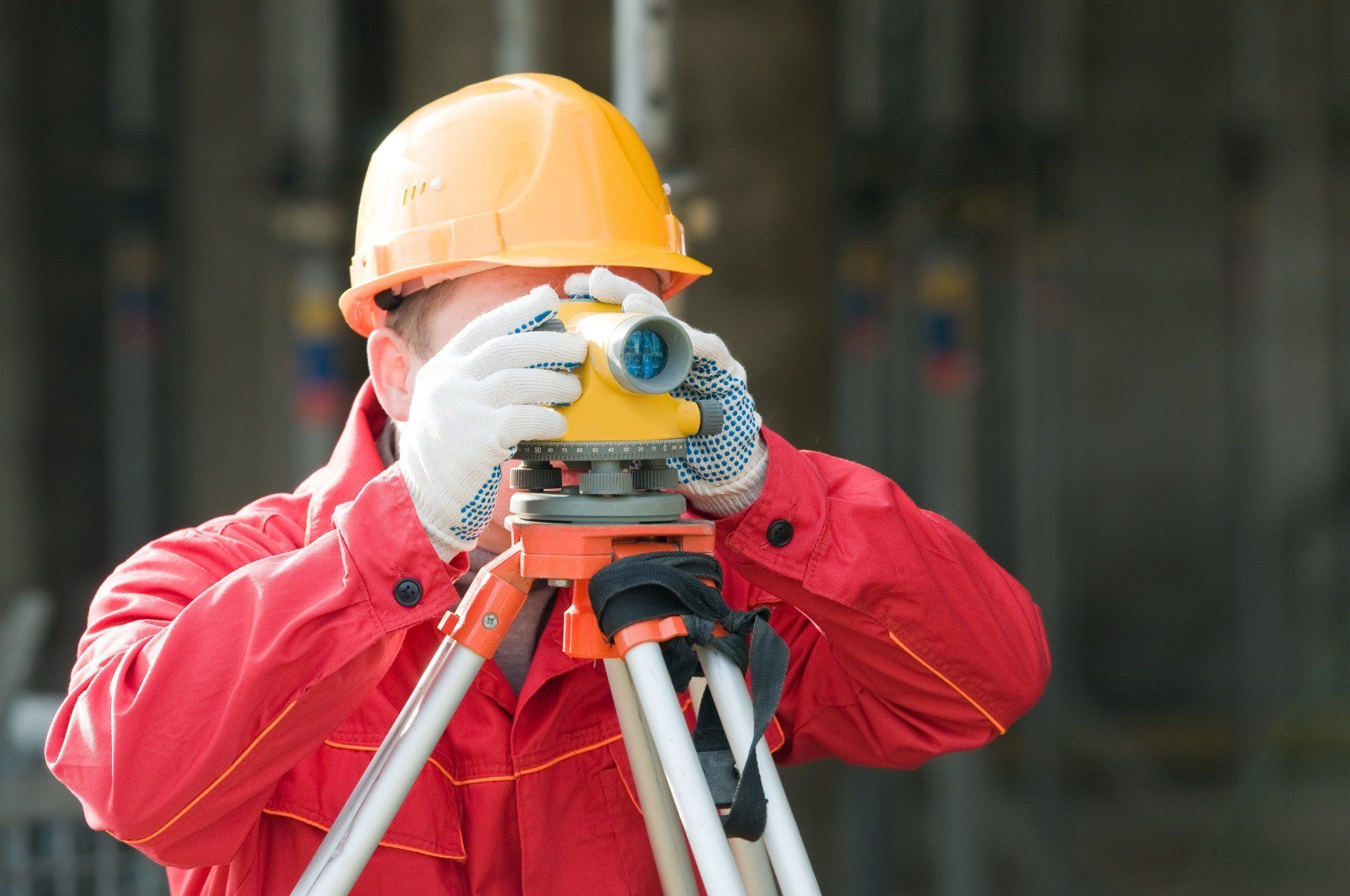 Chartered Surveyor