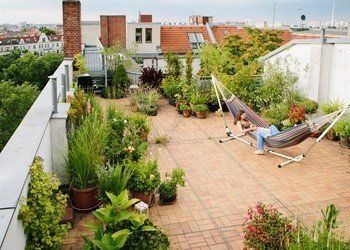Roof Garden