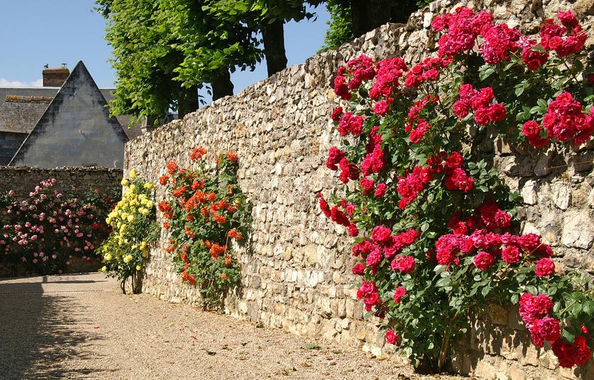 Party wall