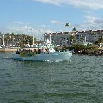 Boat Tours