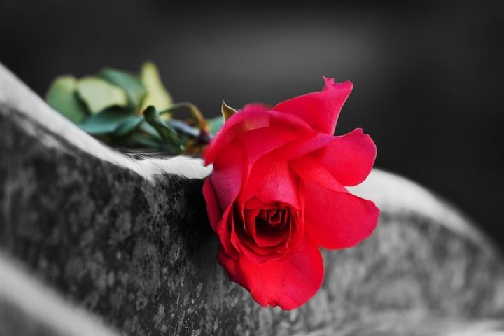 servizi cimiteriali