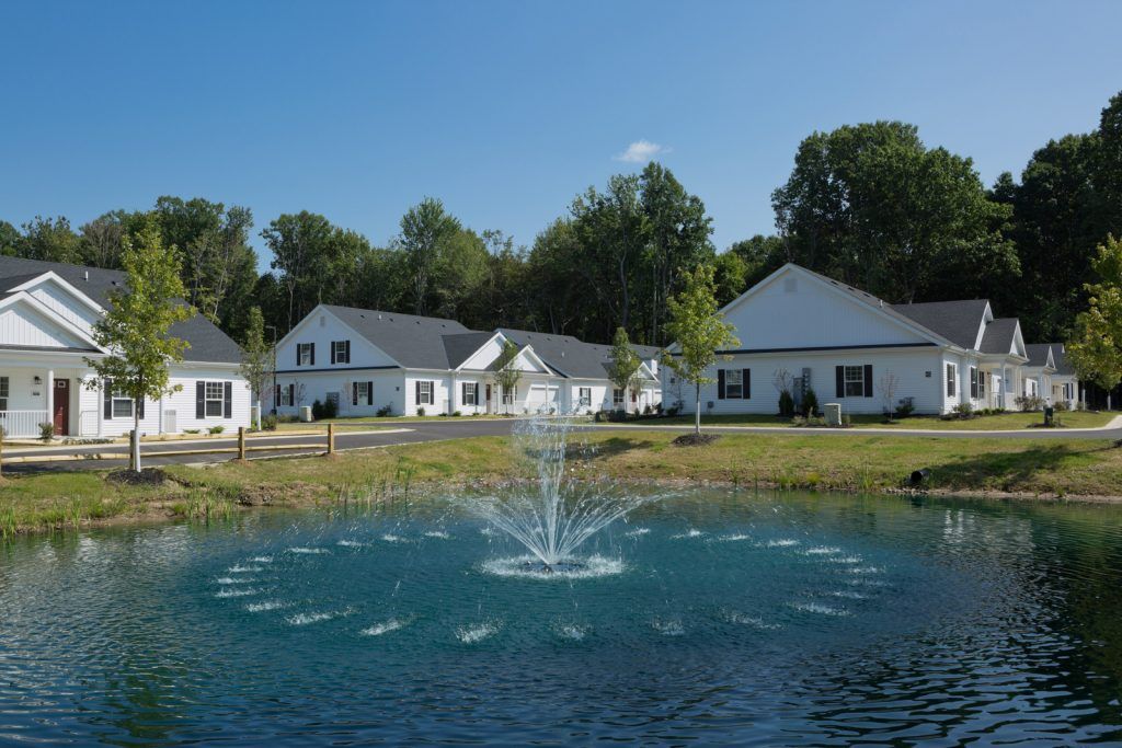 Pond