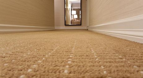 border carpet cleaning brown carpet spread border carpet cleaning brown carpet spread