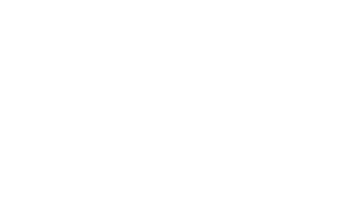 Asset Engineering Services Logo