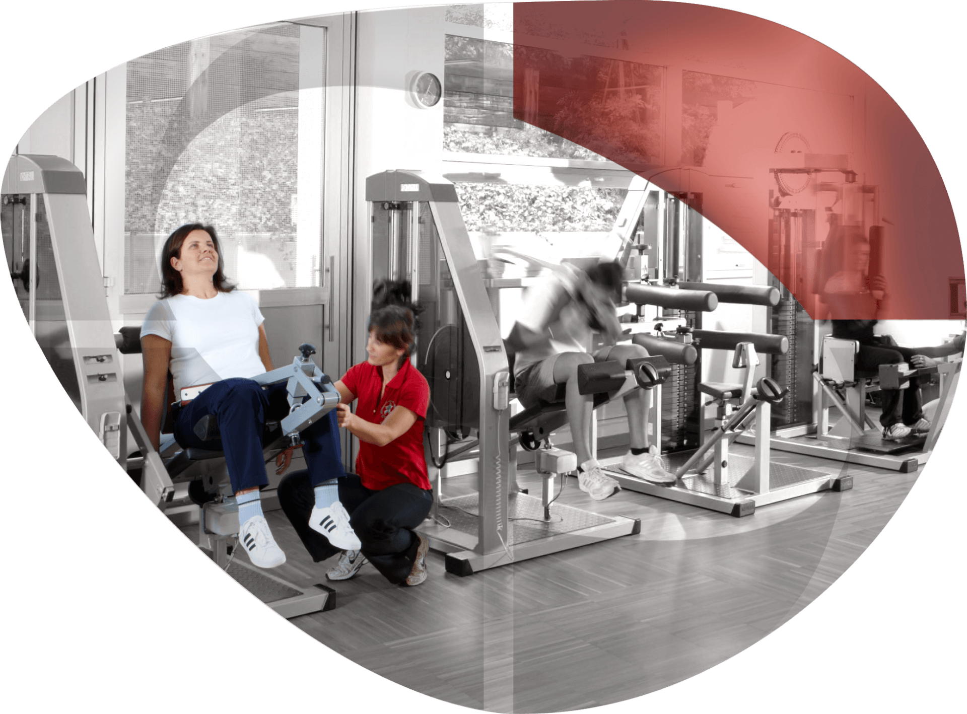 palestra del centro di fisioterapia