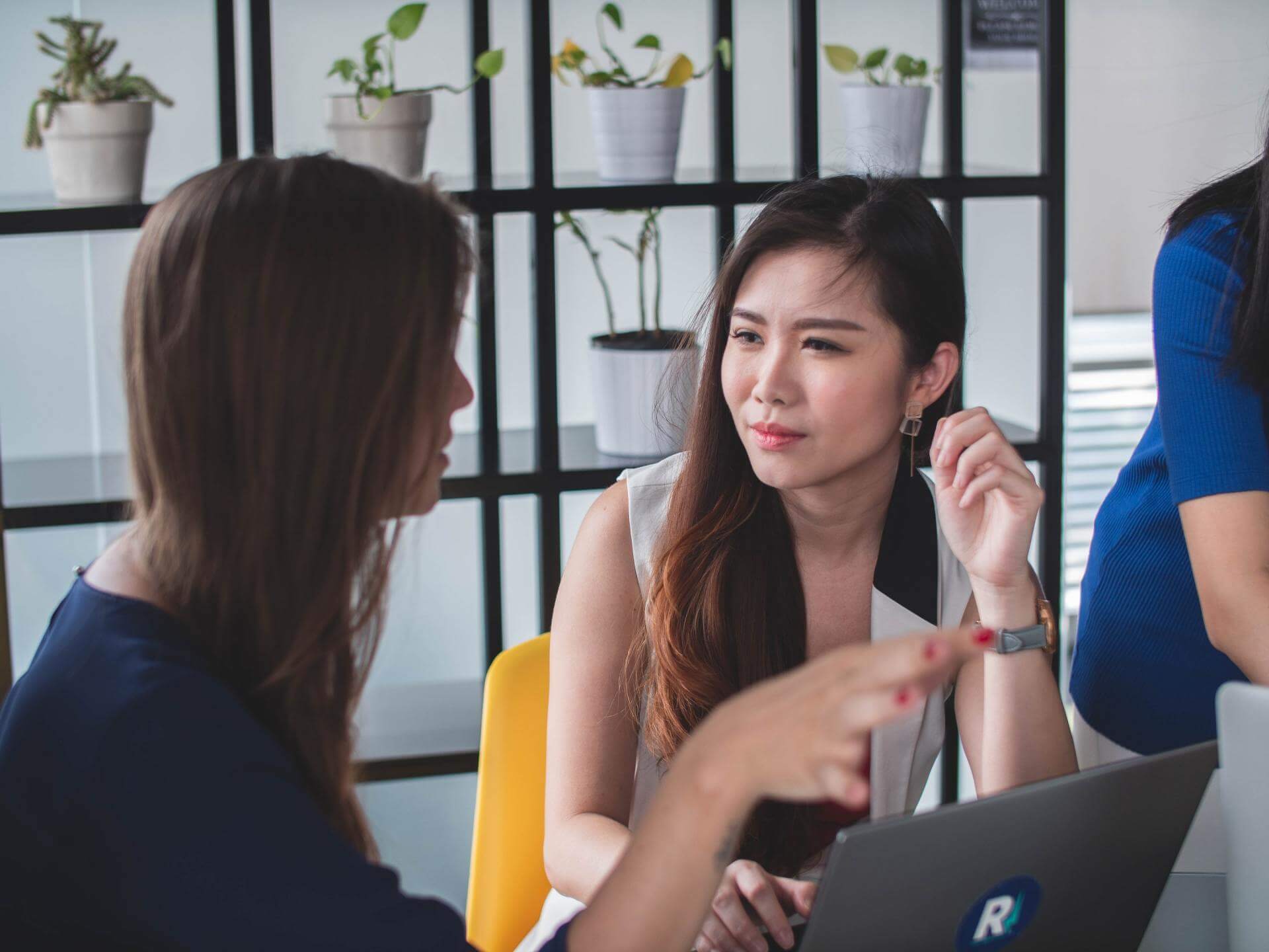 Free Estimate Consultation Purchase Feasibility Study