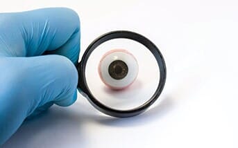 Normal Vision - Ophthalmology Services in Saint Cloud, MN Normal Vision - Ophthalmology Services in Saint Cloud, MN