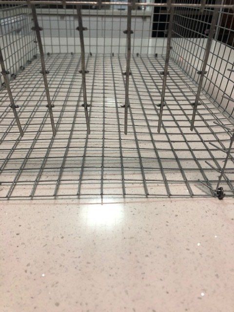Empty pigeon trap