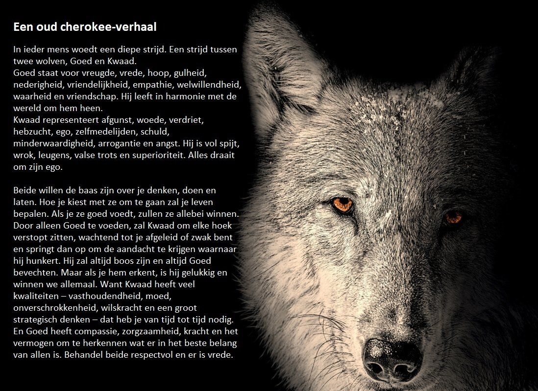 Portret van een wolf met oranje ogen, tekst links.